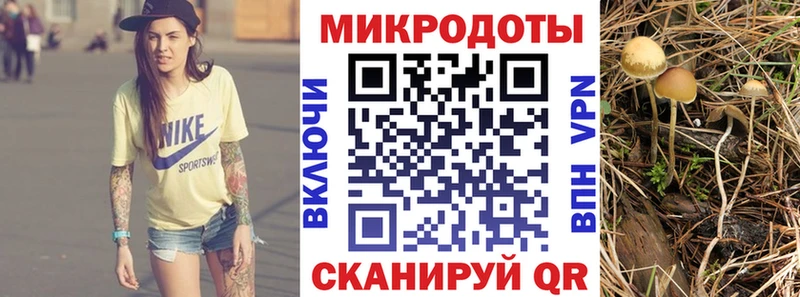 наркотики  Ивдель  Галлюциногенные грибы Cubensis 
